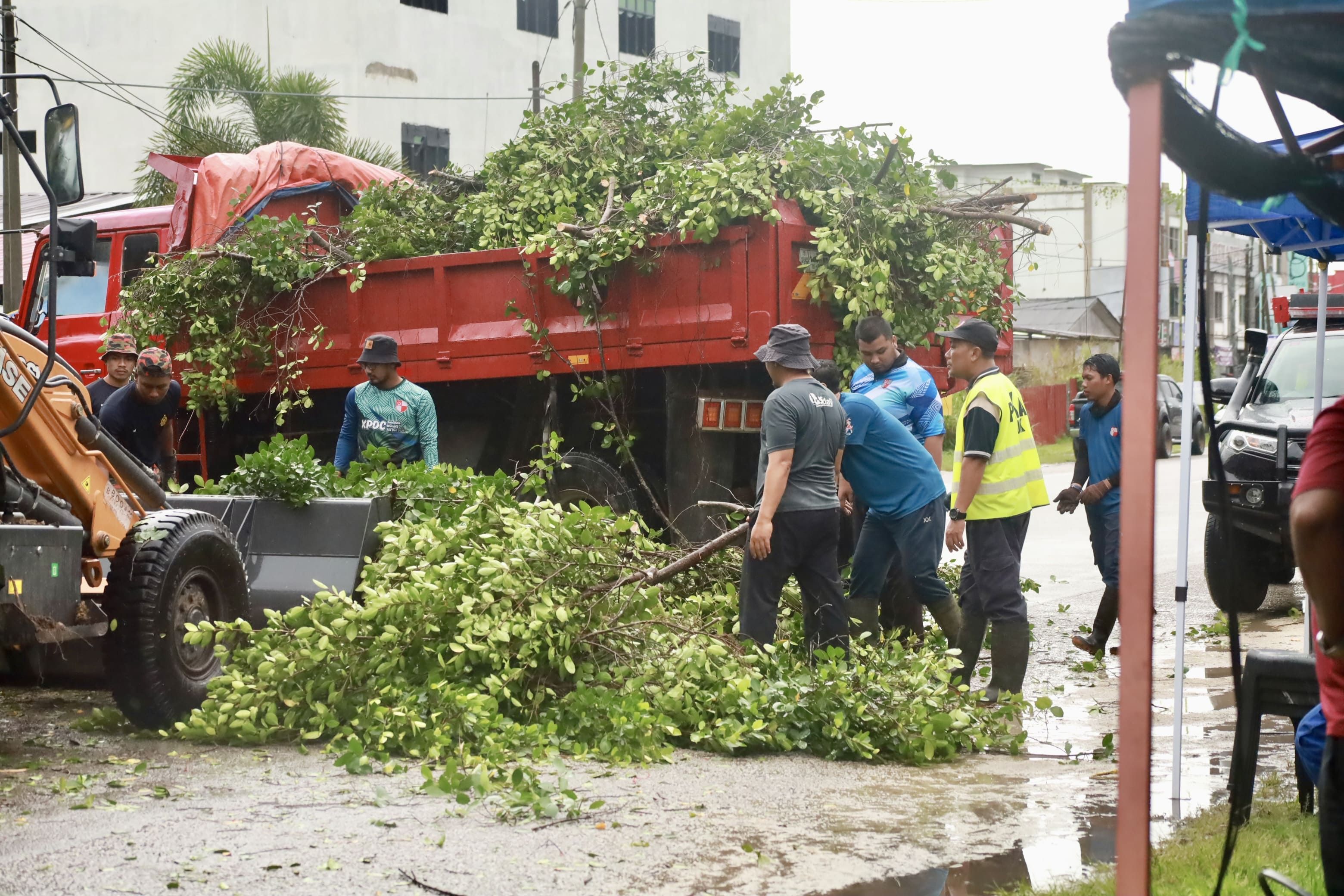 Program penebangan pokok usang di Cabang Lorong Dato Hashim, Daerah Limbongan, Jajahan Pasir Puteh