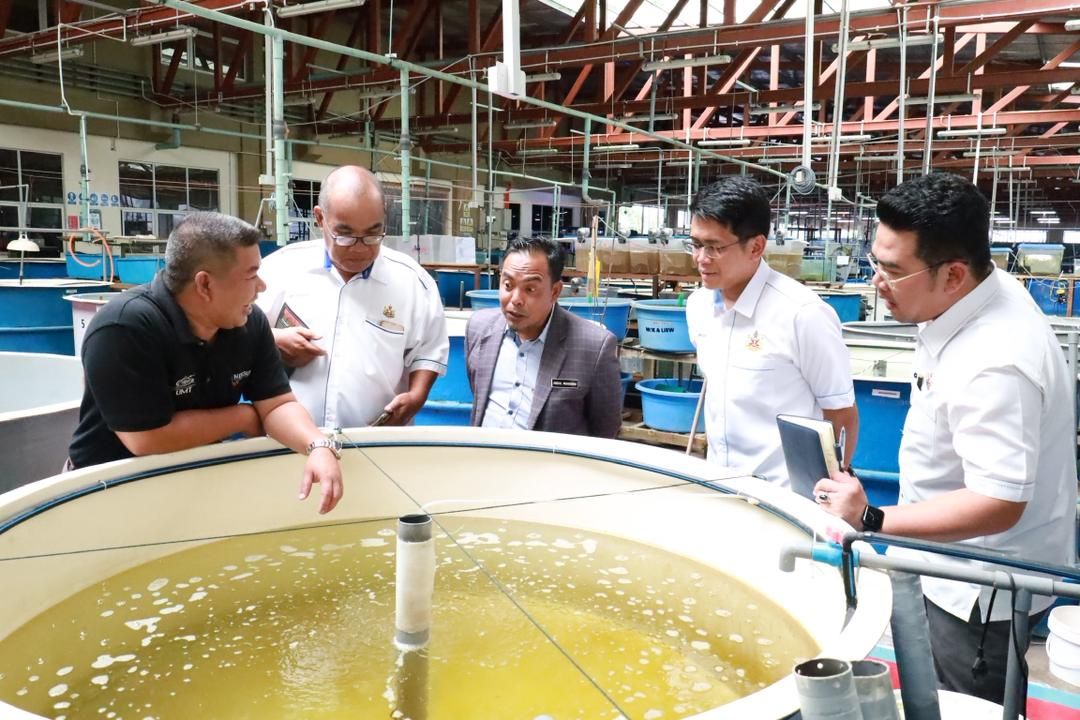 LAWATAN KERJA KE UNIVERSITI MALAYSIA TERENGGANU (UMT) BAGI TUJUAN PERKONGSIAN MAKLUMAT KONSERVASI KETAM NIPAH